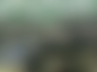 4 DETENIDOS EN CALAMA POR MICROTRÁFICO DE DROGA EN EL MARCO DEL "PLAN CALLES SIN VIOLENCIA"