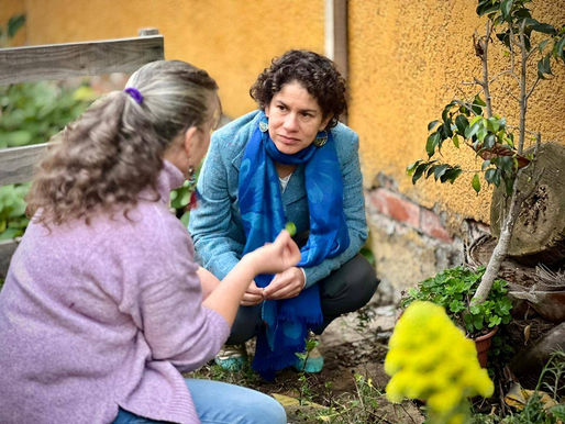 PROYECTO PROMOVERÁ EL RECICLAJE DE RESIDUOS ORGÁNICOS EN HOGARES Y COMERCIOS