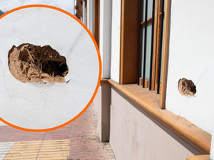 Tras un largo proceso de restauración: vandalizan fachada del Teatro Pedro de la Barra a meses de su reapertura en Antofagasta