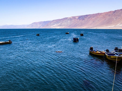 Pescadores pasarán a administrar la Caleta Punta Arenas al norte de Tocopilla