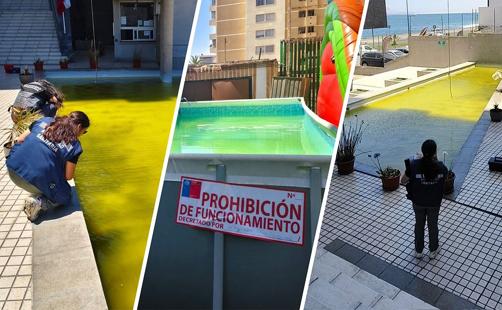 Por presencia de larvas, gusanos y algas: prohíben funcionamiento de cinco piscinas en Antofagasta