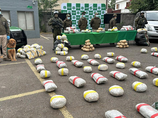 CAE ORGANIZACIÓN CRIMINAL DE TRÁFICO DE DROGAS QUE PRETENDÍA INGRESAR MÁS DE 365 KILOS DE MARIHUANA