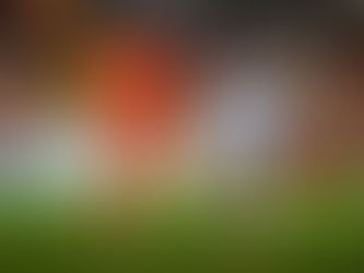 Cobreloa vs Universidad Católica: Un duelo decisivo en la Fecha 29 de la primera ivisión 2024