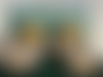 DESARTICULAN BANDA DE TRÁFICO DE DROGAS EN CALAMA : TRES DETENIDOS EN OPERATIVO.