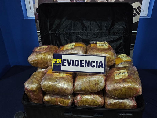 La PDI con su Brigada Antinarcóticos y contra el Crimen organizado incautó 21 kilos de cannabis