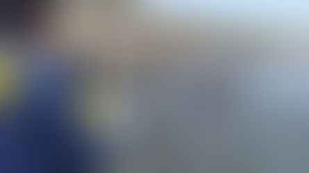 PDI investiga causas del varamiento de ballena frente a Isla Santa María en Antofagasta