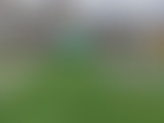 EN PRISIÓN PREVENTIVA QUEDÓ EXTRANJERO DETENIDO CON 343 KILOS DE DROGAS