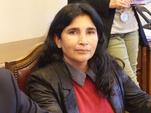 DIPUTADA YOVANA AHUMADA:
PROYECTO AUMENTA LAS PENAS DE QUIENES CAUSEN INCENDIOS