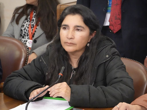 Diputada Ahumada solicita mejoras en seguridad vial e infraestructura de las intersecciones de Caparrosa con Los Poetas y Pablo Neruda