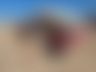 Recuperan camioneta que mantenía encargo por robo en Antofagasta