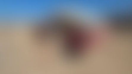 Recuperan camioneta que mantenía encargo por robo en Antofagasta