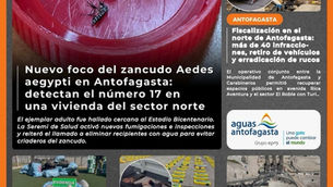 Portada N°893 de Radio Antofagasta Online para hoy miércoles 8 de julio de 2026