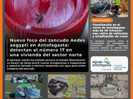 Portada N°893 de Radio Antofagasta Online para hoy miércoles 8 de julio de 2026