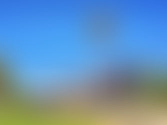 Corte de Antofagasta confirma fallo que ordena a indemnizar a dueña de mascota electrocutada en restaurant Mc Donald's del Balneario Municipal