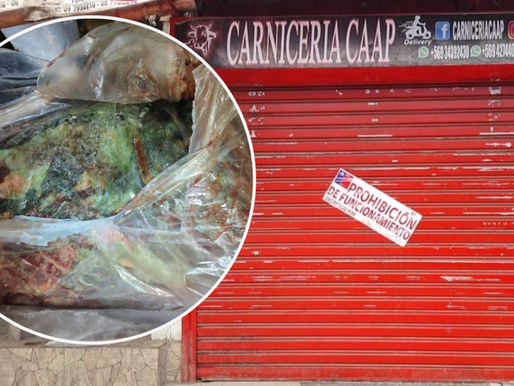 Prohíben funcionamiento de carnicería en Antofagasta tras hallar 960 kilos de carne vencida y en descomposición