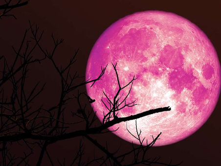 Luna de Fresa 2026: Cómo y cuándo ver la última "microluna" de junio