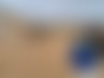 Altos mandos recorren frontera norte para evaluar trabajo conjunto de seguridad