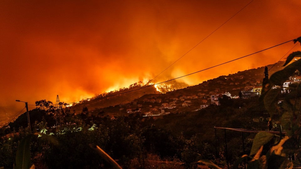 Estado de Catástrofe en Bío Bío y Ñuble tras incendios que han consumido cerca de 5.000 hectáreas y dejado 14 muertos
