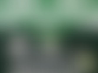 DESARTICULÓ BANDA CRIMINAL
OS7 EL LOA