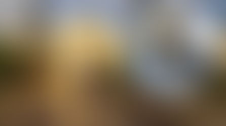 Explosión por gas en el Mercado Central de Antofagasta deja dos mujeres lesionadas