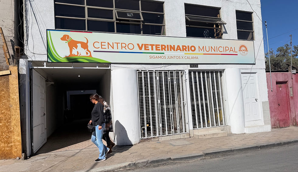 Calama inaugura moderno Centro Veterinario Municipal: proyectan más de 1.500 atenciones al año