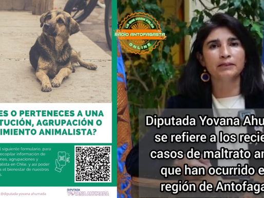DIPUTADA AHUMADA HACE LLAMADO A DENUNCIAR LOS CASOS DE MALTRATO ANIMAL ¡SI ERES TESTIGO DENUNCIA!