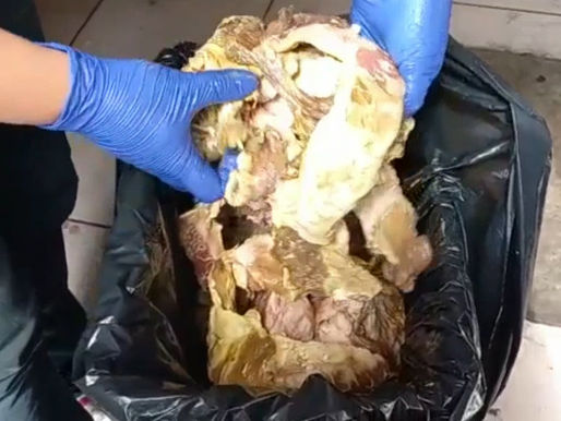 ¡INCREÍBLE! CERCA DE 1 AÑO VENCIDAS TENÍAN CARNES EN VITRINAS PARA LA VENTA EN TOCOPILLA