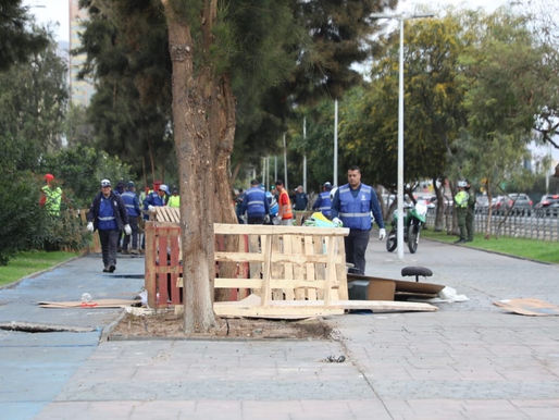Siete rucos fueron retirados dos veces en menos de 24 horas frente al mall del sector centro de Antofagasta