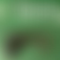 Detienen a dos sujetos con arma de fuego lista para disparar durante patrullaje en Antofagasta