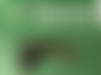 Detienen a dos sujetos con arma de fuego lista para disparar durante patrullaje en Antofagasta