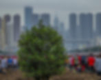 background_edited.jpg