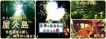 屋久島T.png