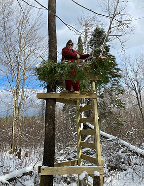 Veteran Don Sladek standing in a tall snowy tree stand in the Northern woods of Minnesota.