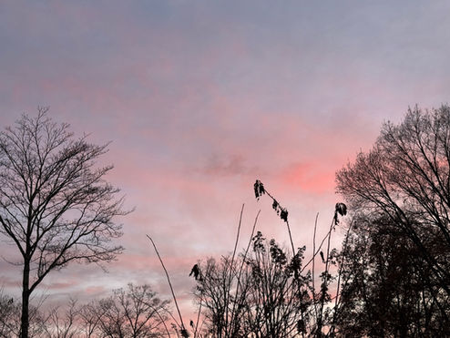 国難は「移民問題」＝「中国による日本乗っ取り」