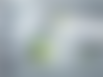 NACHTMANN 雕刻水晶呈現饒富東方色彩