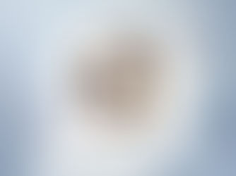 薈萃尖端的日本La Crème面霜