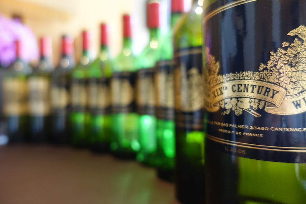 Wine Tasting Kit 24 months + 1 Free Krug + 2 Free month subscription