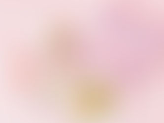 Vive Cake Boutique新年限定蛋糕和曲奇