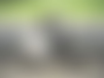 100年後RIMOWA F13 正式飛行