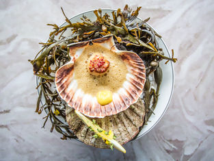 美食同好者年度盛典TASTE OF HONG KONG 載譽歸來