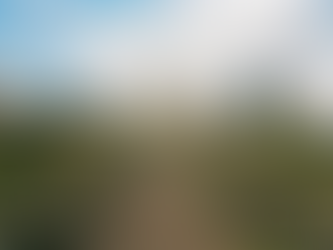 一級酒莊Château Lafite Rothschild