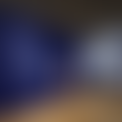 趙無極:版藝匠心——M+在香港的特別展覽