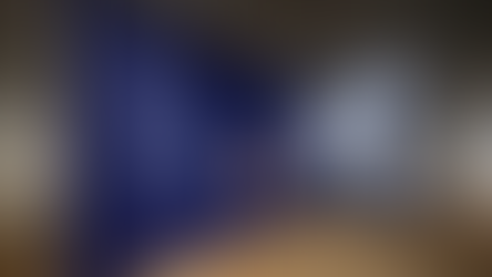 趙無極:版藝匠心——M+在香港的特別展覽