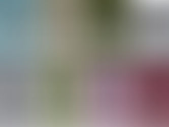 永不妥協的Reichsrat von Buhl