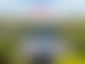 Circoloco @ 布吉島巴巴海灘俱樂部