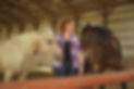 denise with horses.jpg