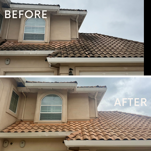 Roof_Walnut Creek.png