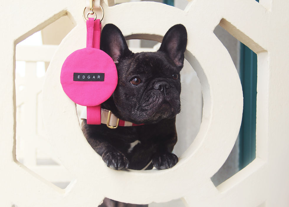 Miniature : Distributeur Rose