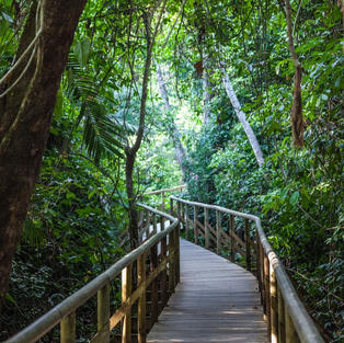 Parks, Gardens, & Food Forests