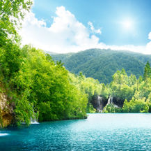 Ecology preservation and improvement